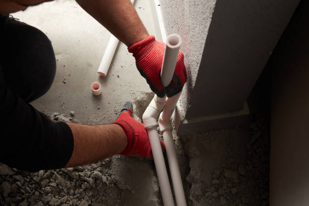 Best Local Plumber Services  in Ardia, CA