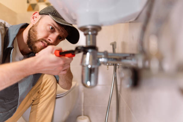 Best Same-Day Plumbing Service  in Ardia, CA