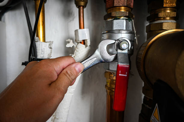 Best Toilet Repair Services  in Ardia, CA